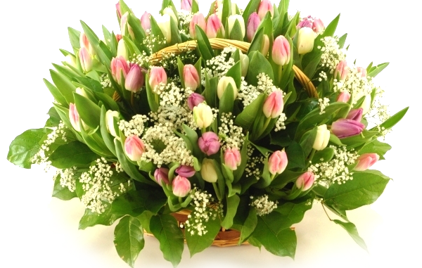 8march